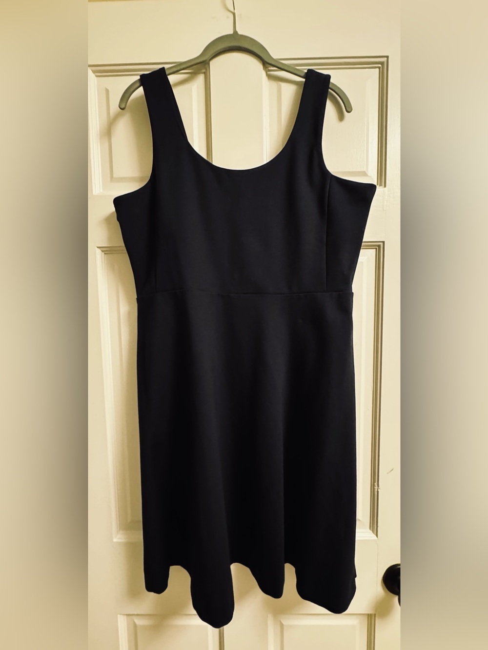 NWT J.Crew Factory Dress (L)